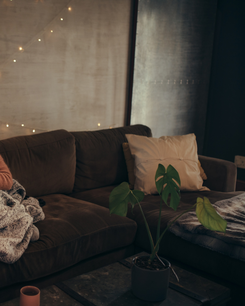 brown couch cozy earthy living room