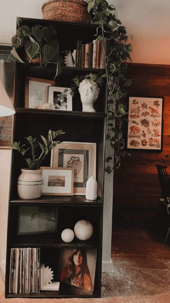 cozy and dark cottage shelf decor