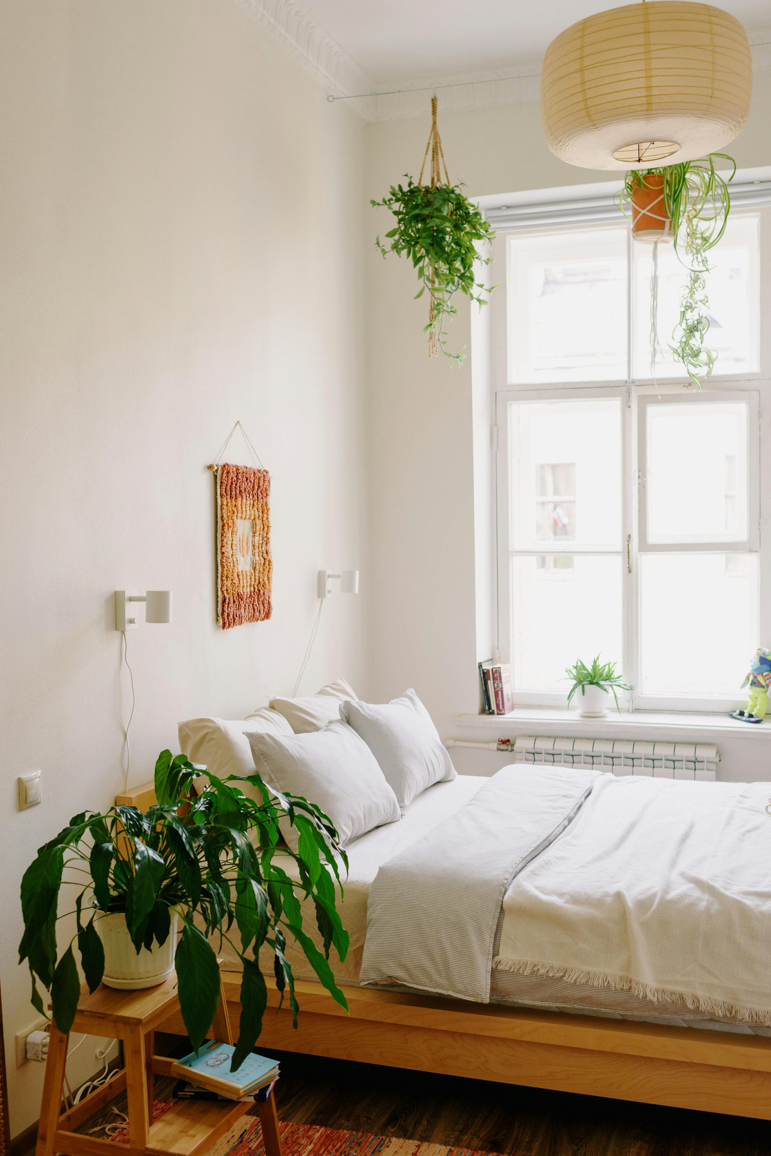 plants guest bedroom