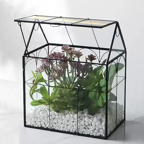 Giadun Large Glass Terrarium House Planter Succulent Plant Terrarium House Shape Glass Greenhouse Terrarium with Lid, Indoor Tabletop Orchid Succulent Cacti Terrarium