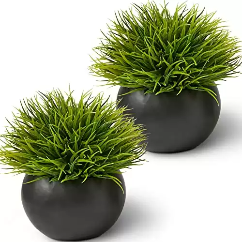 SEEKO Succulents Artificial Plants for Office Décor, Desk Plant Decor, Office Desk Decor, Bathroom Shelf Decor - Masculine Home Decor, Mini Faux Plants Indoor, Small Fake Plant Greenery (2 Pack)