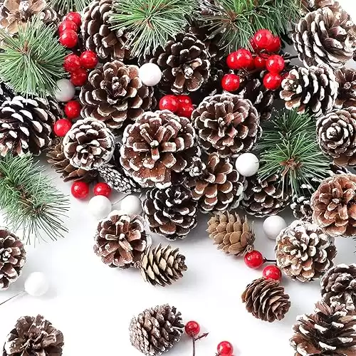 M&C Music Color 115Pcs Christmas Pine Cones Bulk Berry Pine Branch Set, Natural Snow Pinecones Winter Holiday Ornament for DIY Crafts Assorted Sizes Home Decorations Xmas Tree Tag Gift Party Suppl...