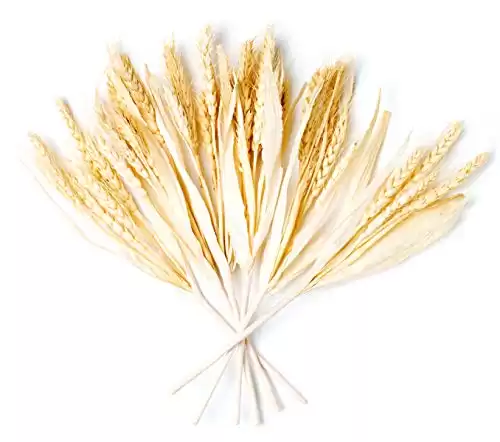 CraftMore Wheat Fall Pick Set of 6