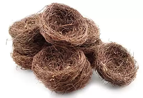 Exasinine 10 Pcs 5.5'' Artificial Bird Nest for Crafts, Easter, Party, Wedding, Patio Garden, Succulent Planter, Moss Landscape, DIY Terrarium and Spring Vignettes (5.5 Inches)