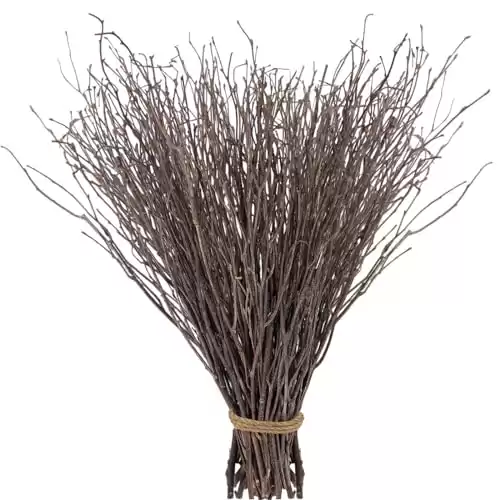 60Pcs Real Dried Birch Twigs Plants Branches - 17 Natural Autumn Decorative Birch Branches for Vases, Birch Sticks for DIY, Centerpiece, Floral Arrangment, Twig Wreath, Rustic Home Decor