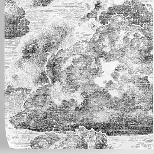 DIY White/Black/Grey Vintage Cloud Sky Pattern Wallpaper. Eco Paper. Temporary Removable. 8 Sheets 39.4 27.5in(59.2 sq ft). Furniture Decoration Renovation. Made in Italy. NOT SUITABLE FOR ALL WA...