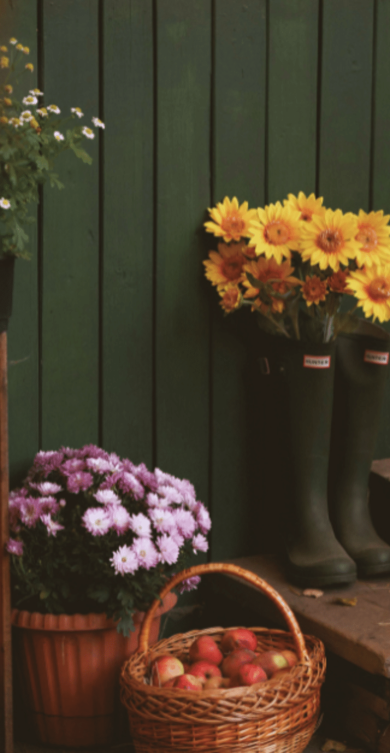 14 Spring Front Porch Decor Ideas You Need to See