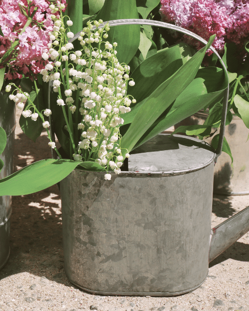 flower arrangement in old watering can