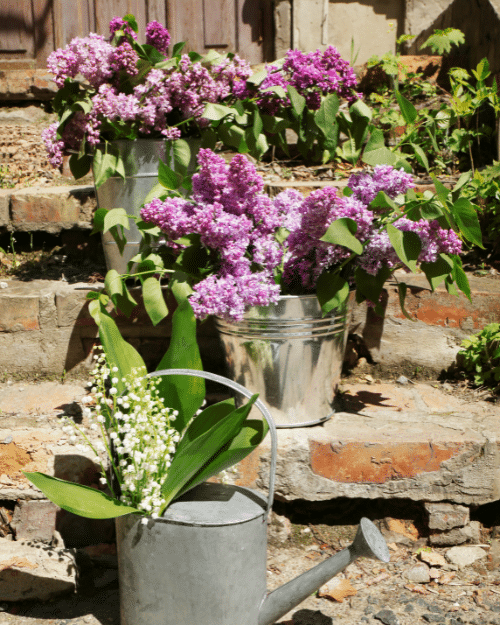 spring flower arrangements on front porch