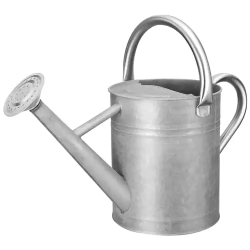 Watering Can for Outdoor Plants&Indoor Plants,Plant Watering Can 1 Gallon,Metal Flower Garden Watering Can Water Can Watering Pot,Galvanized Steel Watering Can Outdoor (Silver)